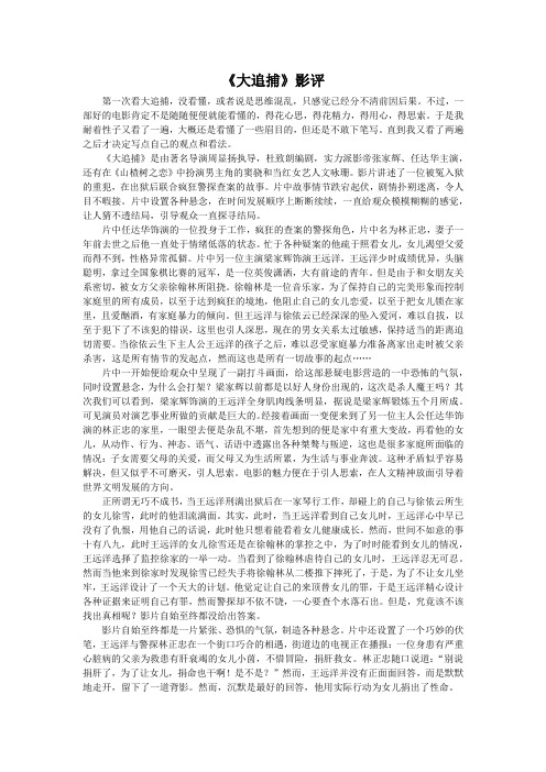 《大追捕》影评