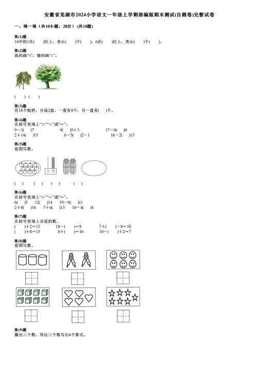 安徽省芜湖市2024小学数学一年级上学期部编版期末测试(自测卷)完整试卷