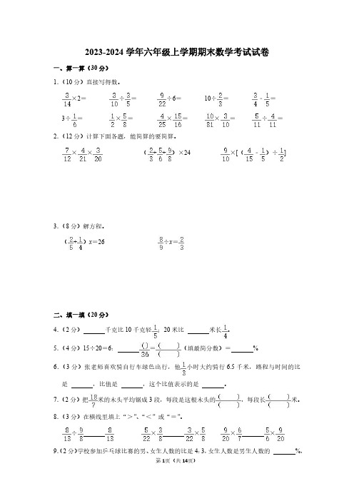 2023-2024学年六年级上学期期末数学考试试卷附答案解析