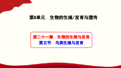 (苏教版)八年级生物下册同步教学课件：8.21.5 鸟类的生殖与发育