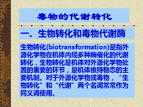 化学毒物在体内的生物转运