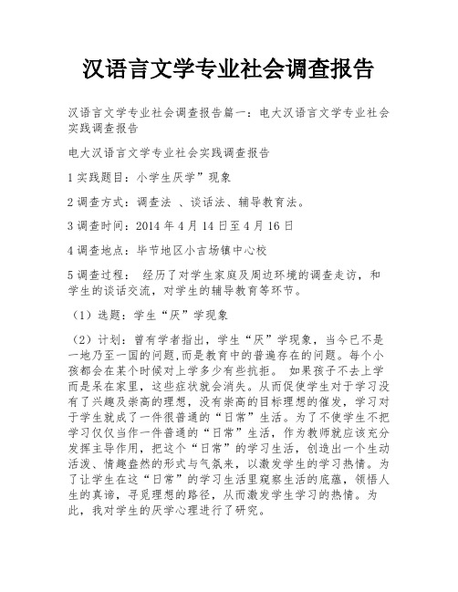 汉语言文学专业社会调查报告