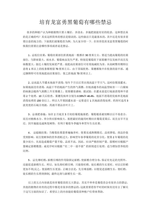 培育龙富勇黑葡萄有哪些禁忌