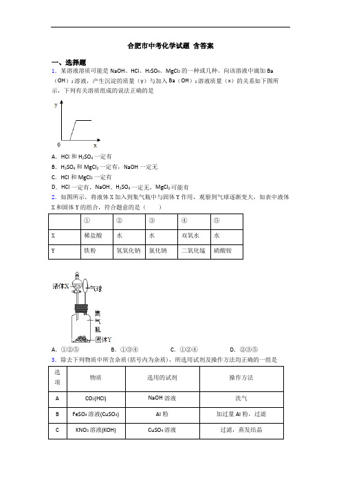 合肥市中考化学试题 含答案