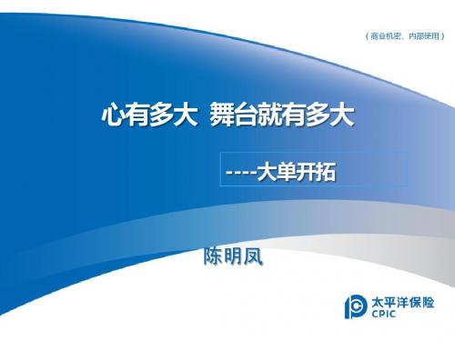 大单开拓陈明凤