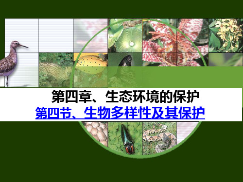 2019-2020学年人教版高中地理选修6课件：4.4生物多样性保护教学课件  (共45张PPT)