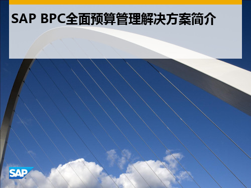 SAP 全面预算管理解决方案BPC