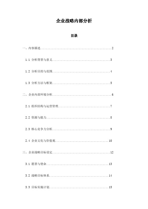 企业战略内部分析