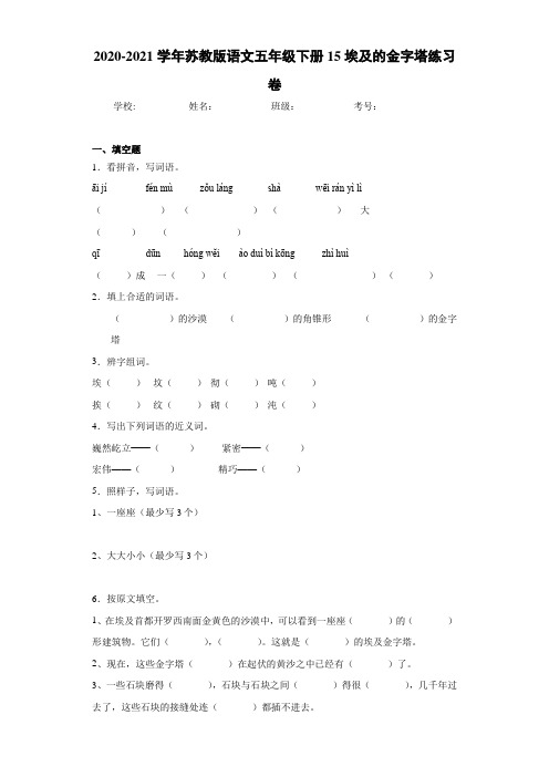 苏教版语文五年级下册15埃及的金字塔练习卷