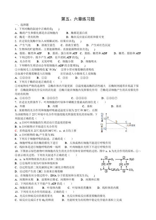 必修1生物第五六单元测试题