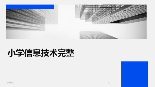 2024年小学信息技术完整