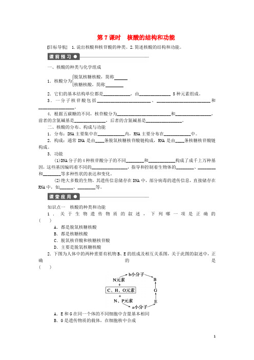 高中生物 第二章 第7课时 核酸的结构和功能课时作业(含解析)苏教版必修1