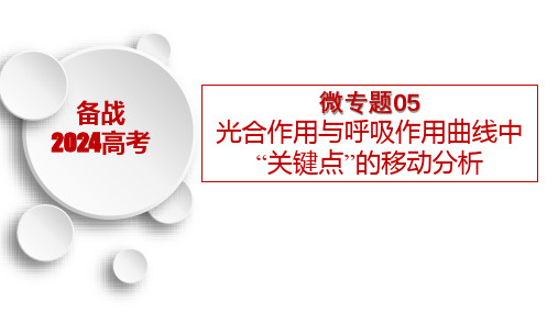 微专题05 光合作用与呼吸作用曲线中“关键点”的移动分析-备战2024年高考生物一轮复习考点微专题