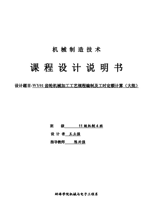 1101变速器齿轮零件的机械加工工艺规程_说明书