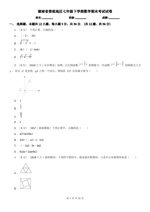 湖南省娄底地区七年级下学期数学期末考试试卷