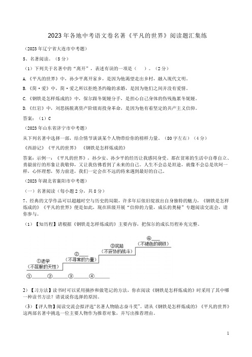 2023年各地中考语文卷名著《平凡的世界》阅读题汇集练附答案解析