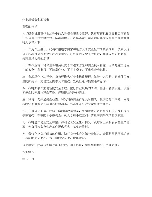 作业组长安全承诺书