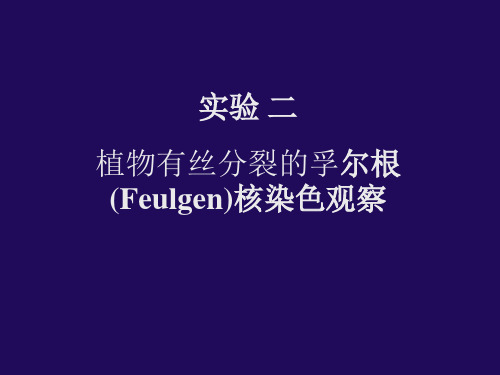 富(孚)尔根(Feulgen)核染色