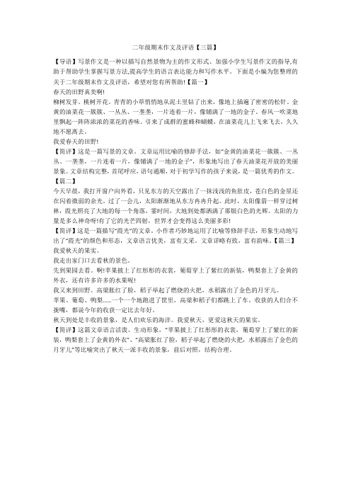 二年级期末作文及评语【三篇】
