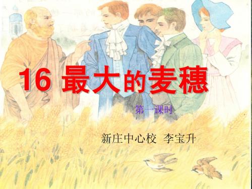 16、最大的麦穗(1)