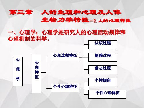 安全人机工程学  第三章  人的生理和心理及人体生物力学特性2