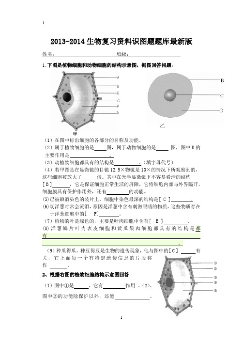 七年级生物上册复习最新最全资料识图题库及答案