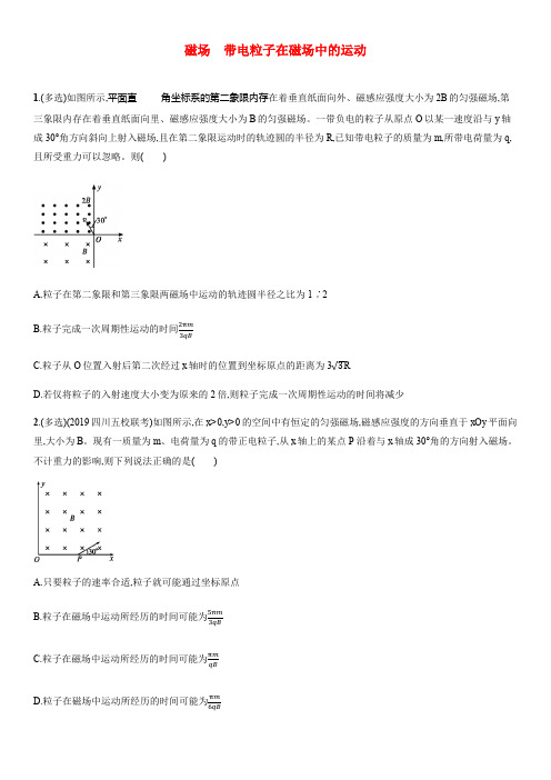 2020届高三高考物理大复习《磁场带电粒子在磁场中的运动》知识点强化