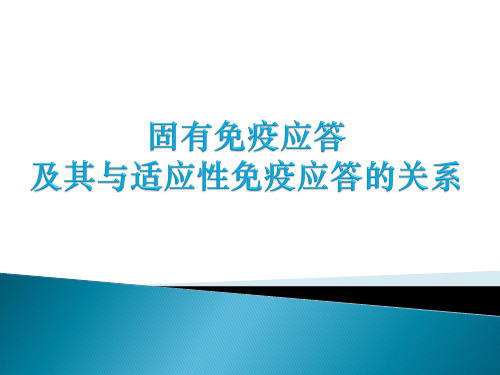 免疫学：12固有免疫应答及其与适应性免疫应答的关系