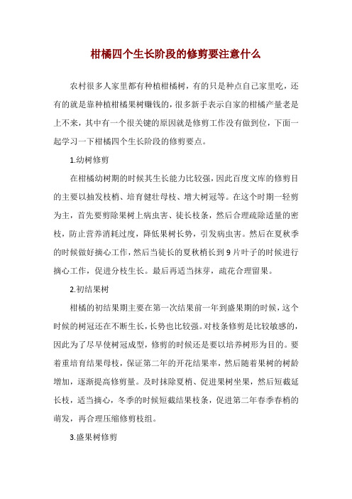 柑橘四个生长阶段的修剪要注意什么