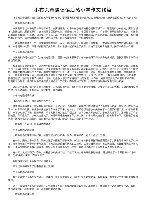 小布头奇遇记读后感小学作文10篇