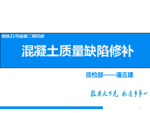 混凝土质量缺陷修补培训  ppt课件