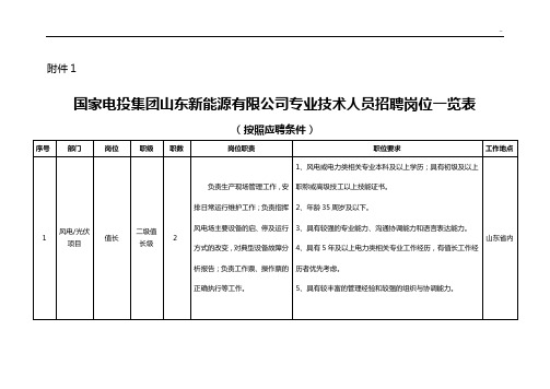 国家电投集团山东新能源有限企业单位