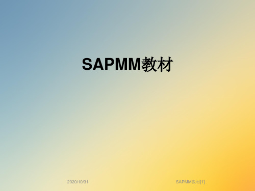 SAPMM教材[1]