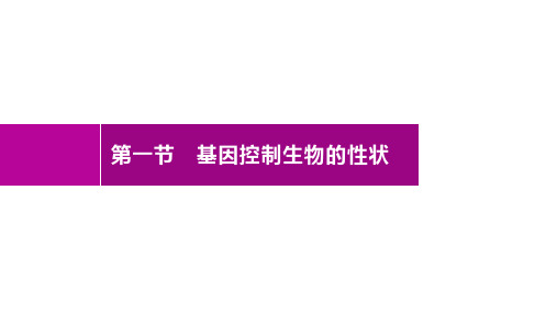 2020人教版生物八年级下册 第七单元 第二章 第一节 基因控制生物的性状