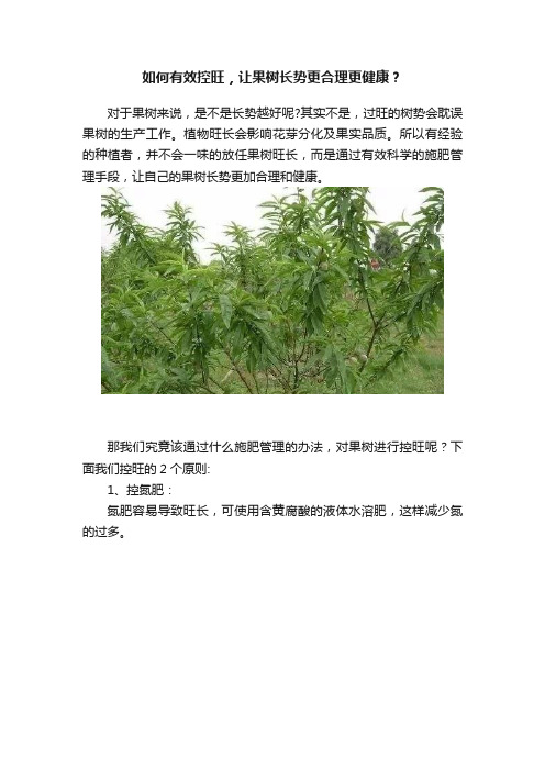 如何有效控旺，让果树长势更合理更健康？