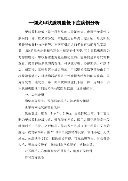 一例犬甲状腺机能低下症病例分析
