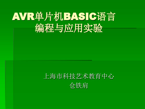 AVR单片机BASIC语言