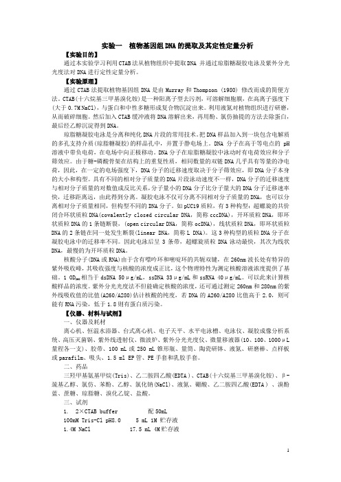 分子实验报告