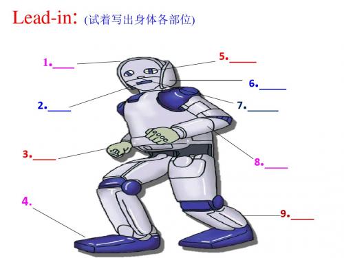 冀教版七年级英语上册《nit 3 Body Parts and Feelings  Lesson 13 Body Parts》优质课课件_5