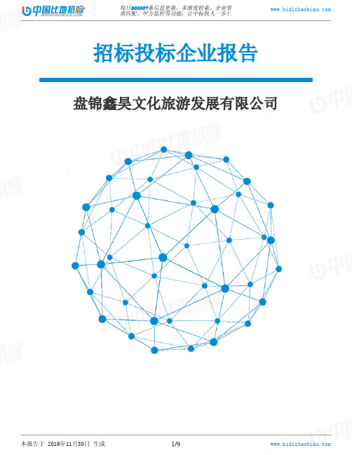 盘锦鑫昊文化旅游发展有限公司-招投标数据分析报告