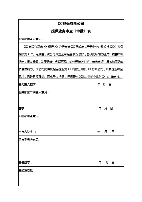 融资担保公司担保业务审查审批表