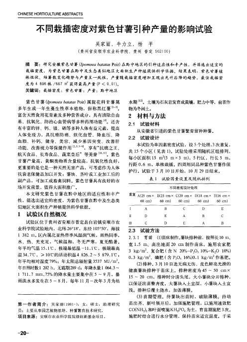 不同栽插密度对紫色甘薯引种产量的影响试验