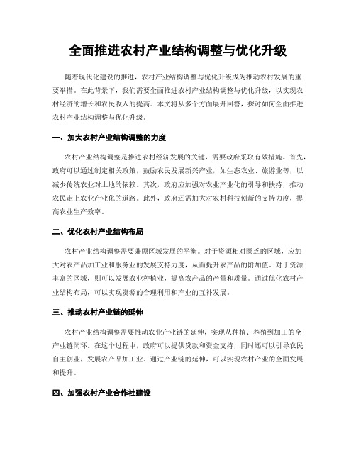 全面推进农村产业结构调整与优化升级