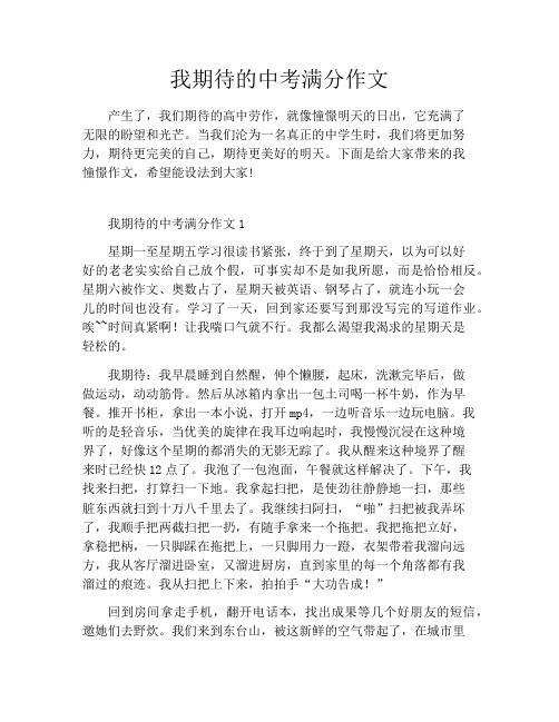 我期待的中考满分作文