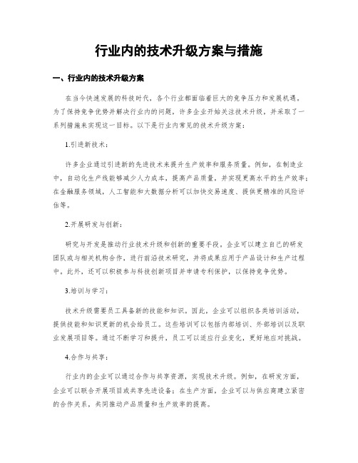 行业内的技术升级方案与措施