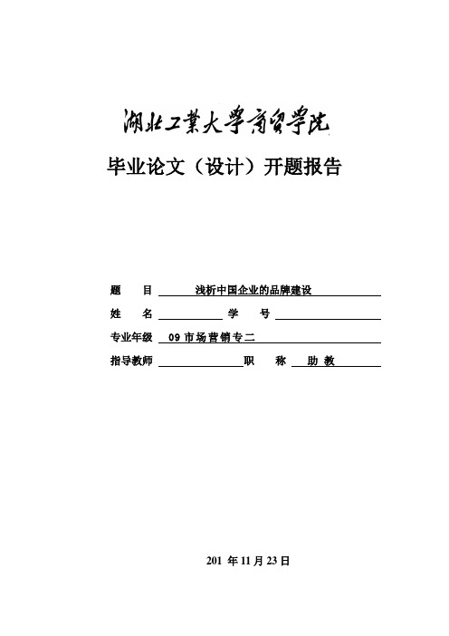 浅析中国企业的品牌建设 开题报告