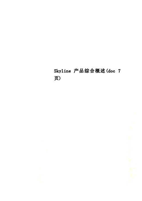 Skyline产品综合概述(doc 7页)