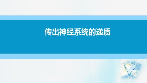 传出神经系统疾病用药—传出神经系统药理概论(药理学课件)