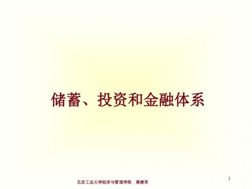 储蓄投资和金融体系经济学精品课程课件.