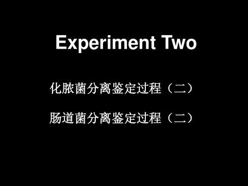 化脓菌分离鉴定过程肠道菌分离鉴定过程